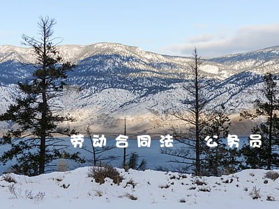 劳动合同法 公务员 劳动合同法 公务员